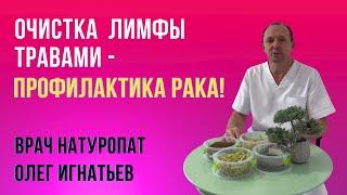 Очистка лимфы травами - Советы врача Натуропата