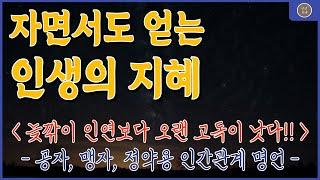 인생 후반전에 꼭 필요한 관계의 지혜 | 삶의 철학 | 명언 모음 | 삶의지혜 | 노후의삶 | 행복