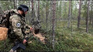 ПОХОД В ОСЕННИЙ ЛЕС. СБОР БЕЛЫХ ГРИБОВ. УСТАЛ ОТ СУЕТЫ И УШЁЛ В ТАЙГУ.