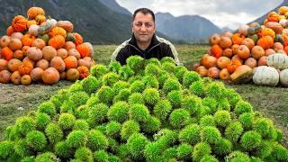 Cooking Pilaf with Fresh Pumpkin & Chestnuts!