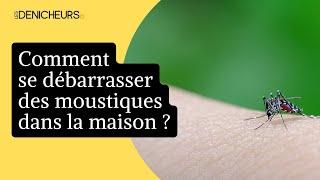   Comment se débarrasser facilement des moustiques dans la maison 