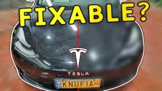 Polishing a Black Tesla=IMPOSSIBLE?!