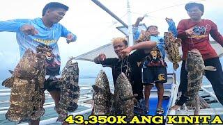 Jackpot / Napasabak agad si idol Inday sa mga giant grouper | Bryan Fishing Tv