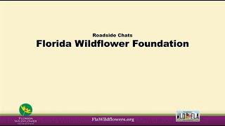 Roadside Chats - Florida Wildflowers, Lisa Roberts, Florida Wildflower Foundation