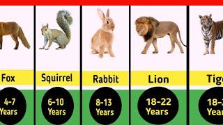 Animals Life Expectancy