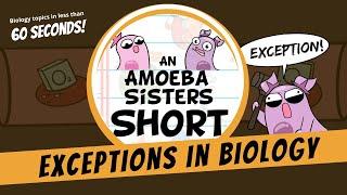 Biology and Its Fascinating Exceptions  - Amoeba Sisters #Shorts