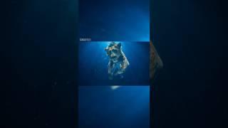 The King Of Jungle  Mufasa The Lions King  #trend  #mufasa #shorts