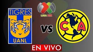 TIGRES VS AMERICA EN VIVO - LIGA BBVA MX APERTURA 2024 -  DONDE VER EN VIVO