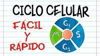  CICLO CELULAR  [Fácil y Rápido] | BIOLOGÍA |