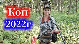 По выбитым лесам! Бабский Коп 2022г