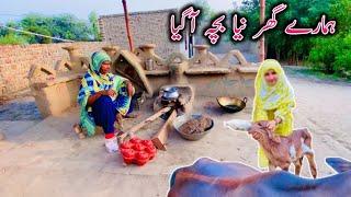 Hamare Ghar Naya Bacha A Gaya || Village Life Mud House Family Vlogs || Happy Village Family