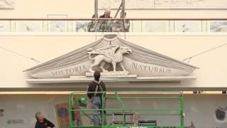 The Griffin Pediment Rises