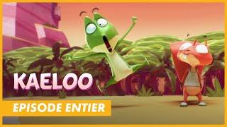 KAELOO - Episode entier " Et si on jouait aux vacances... naufragés" - CANAL+kids