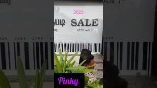 Pollachi pinky offer 2023