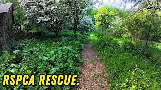 Rescuing RSPCA Preston! Dangerous Trees & Lost Memorial Garden
