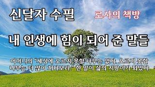 [신달자 수필/내 인생에 힘이 되어준 말들/삶이 원하는 것은 무엇일까요]삶의 지팡이가 된 어머니의 말씀 “세상에 오르지 못할 나무는 없다. 오르지 못할 나무는 더 많이 쳐다보라.”