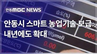 스마트 농업기술보급 추진 / 안동MBC