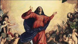 THE ASSUMPTION OF THE BLESSED VIRGIN MARY | Homily by FR. DOM LORENZO, SSCV