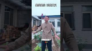 【史楍酼】绝望了，绝处逢生，正是站桩真义 #养生 #zhanzhuang