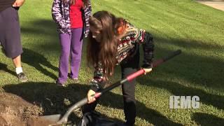 Beautify the City of San Bernardino with Trees