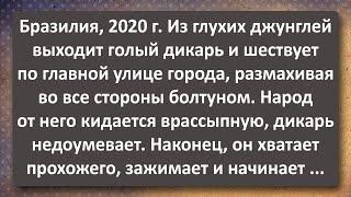 Голый Дикарь Размахивает во Все Стороны Болтуном! Сборник Самых Свежих Анекдотов!