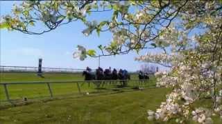 TVG Presents Live Trackside Coverage from Keeneland Sunday