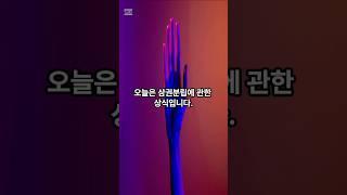 [하루 상식] 삼권분립이 뭘까? #상식 #shorts #기본상식