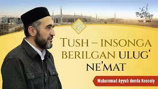 Tush – insonga berilgan ulug' ne'mat | Muhammad Ayyub domla Kosoniy