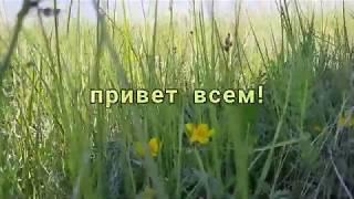 Гомбоева Лилия Рум тур  выходные блогера Отряд Весельчаки Хажелаева М Н