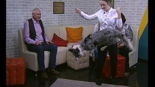 А что у вас? Педагог Елена Золотарева - 18 ноября 2016