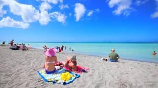 Best of Things to Do & See in Venice, Florida: Discover Venice, FL