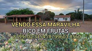 VENDO ESSA MARAVILHA DE SÍTIO BOM E BARATO SUA GRANDE OPORTUNIDADE 8799102 3154  / 8799603 8560