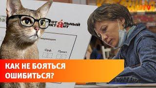 Страх ошибки и пушистики. Как в уфимском кафе «Котейная» прошёл Тотальный диктант?