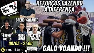 AO VIVO GALO VOANDO ️REFORÇOS FAZENDO A DIFERENÇA