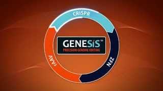 GENESIS™ Precision Genome Editing with CRISPR and rAAV