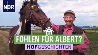 Tierarzt bei Alberts Pferden | Hofgeschichten (151) | NDR auf’m Land