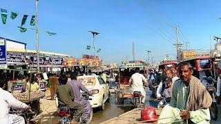 Taunsa  Sharif   Pakistan  (Full HD)  City  Walking  Touring  in  Pakistan  Taunsa Citi