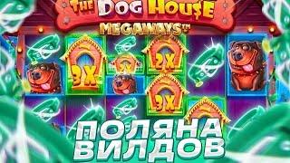 ПОЙМАЛ БЫСТРЫЙ ЗАНОС Х1000 С ОГРОМНОЙ ПОЛЯНОЙ ВИЛДОВ В THE DOG HOUSE MEGAWAYS