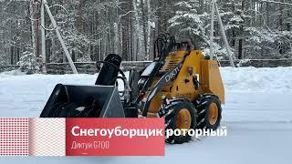 Диктум Роман Софин