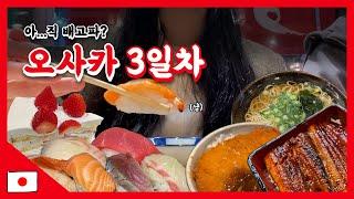 일본 오사카 VLOG EP#3:: 장어덮밥 소바 가츠동 스시 맛집 추천(OSAKA JAPAN) l  사케 닷사이23 쇼핑️ 브이로그
