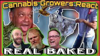 Cannabis Growers React: Real Baked #001 (Dude Grows Presents)