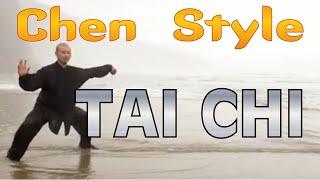 Chen Style Tai Chi