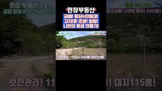 고지대 싼땅 급매 조망 좋아요 #sorts #현장부동산 #단양부동산 #단양토지매매 #가곡부동산