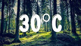 ANNA - 30ºC (Testo/Lyrics)