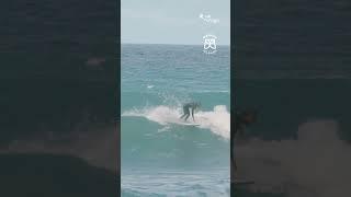 This is why Madeira Island it’s Europe’s surfing paradise. #surfcasting #surfvibes #surfers #surfing