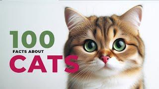 100 Purr-fectly Fun Facts About Cats!  | DJC Kids