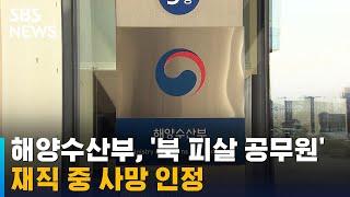 해양수산부, '북 피살 공무원' 재직 중 사망 인정 / SBS