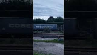 tran