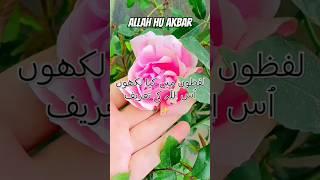 Allah Hu Akbar #islamicvideo #islamicstatus #allahhuakbar #whatsappstatus #youtubeshorts