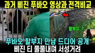 첫공개 "푸바오" 하고 부르자.. 푸바오 단단히 삐진 모습 강철원 사육사 푸바오 중국만남 당시 영상